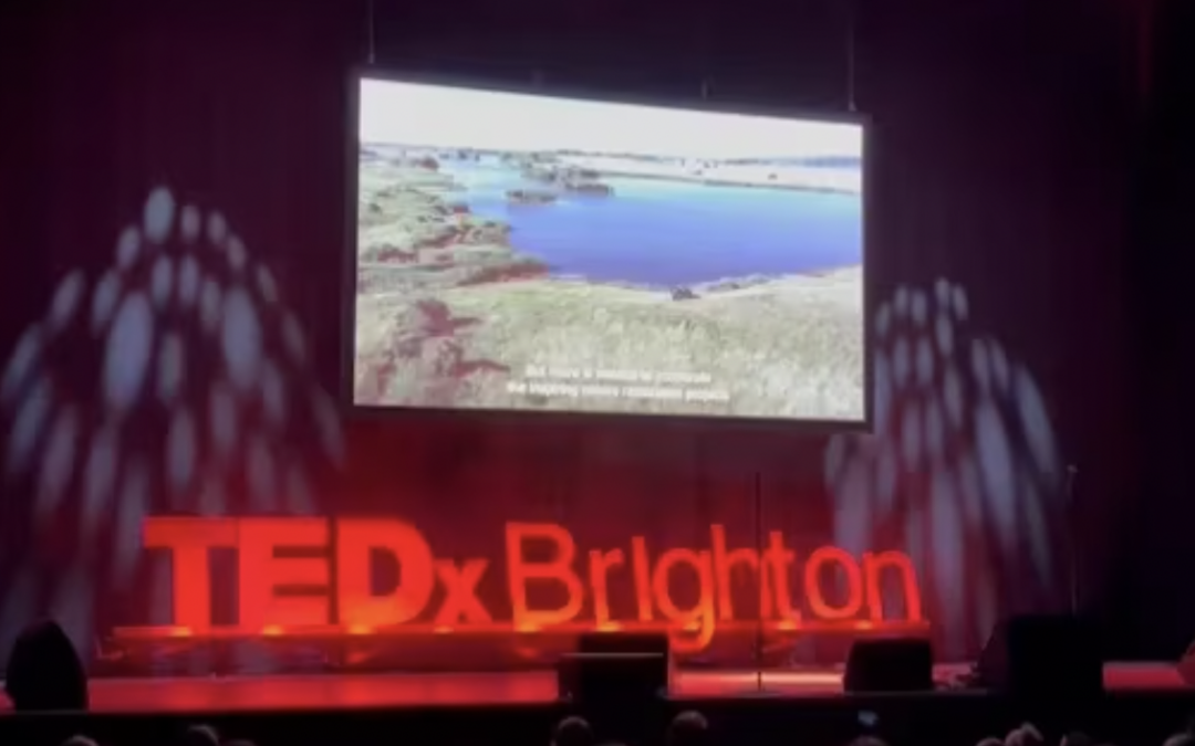 Sussex Bay at TEDx Brighton
